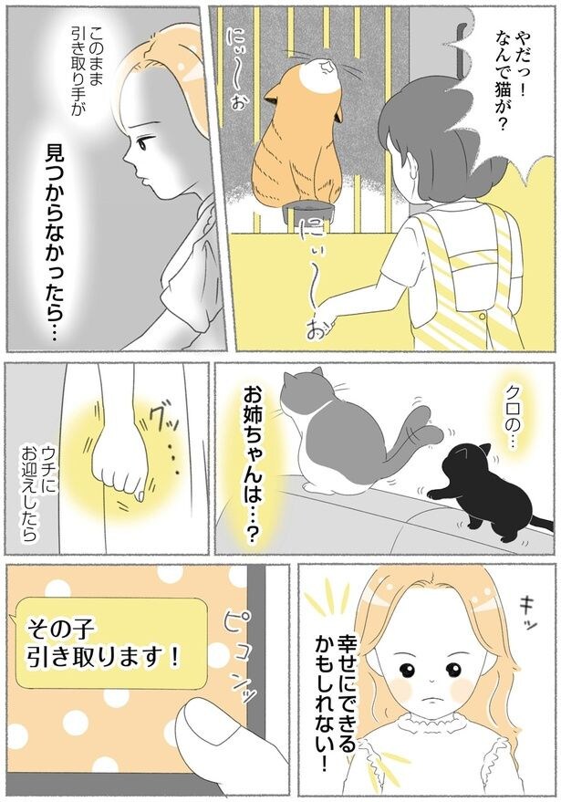ウチにお迎えしたら