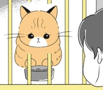 クローゼットの中で息を潜めて暮らしていた猫。引き取り手がないと聞いて!?