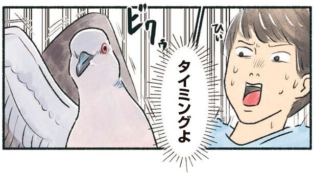 タイミングよ