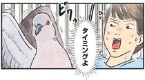 なぜこのタイミング！？間の悪いハトにお互いビクッ
