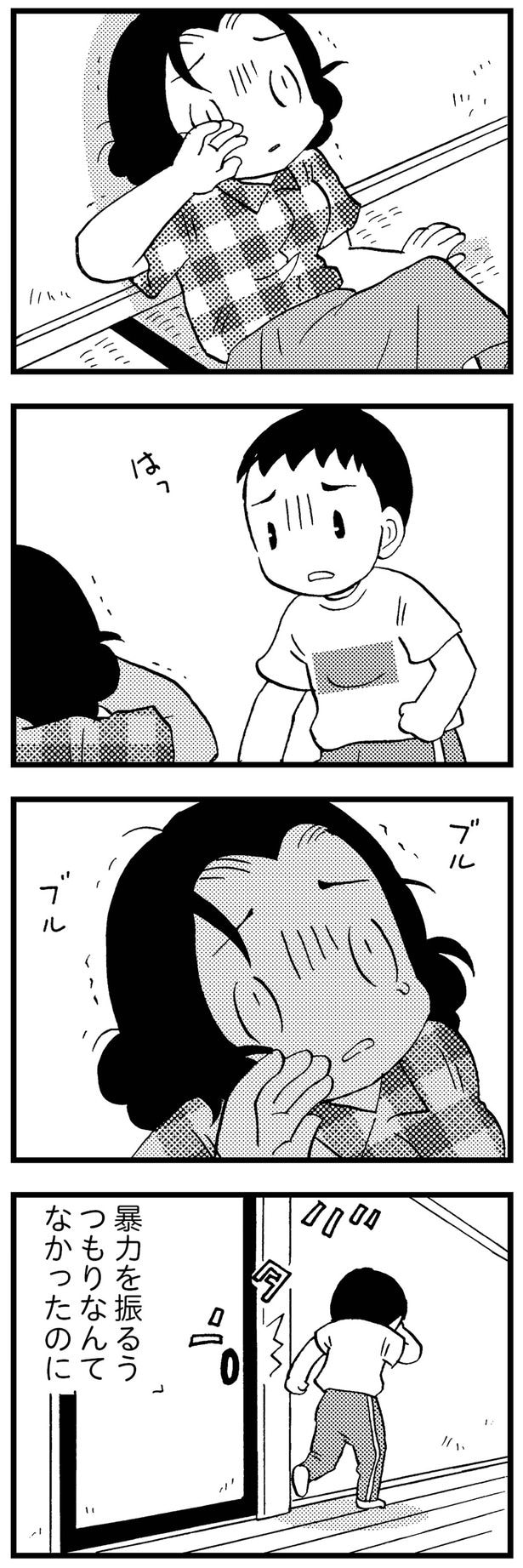 暴力を振るうつもりなんてなかったのに