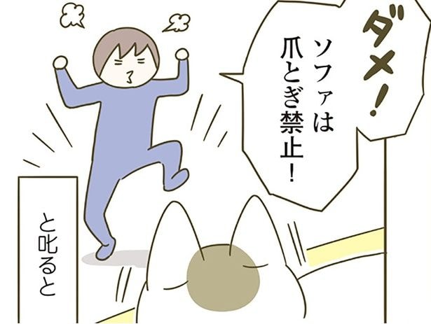 ダメッ！