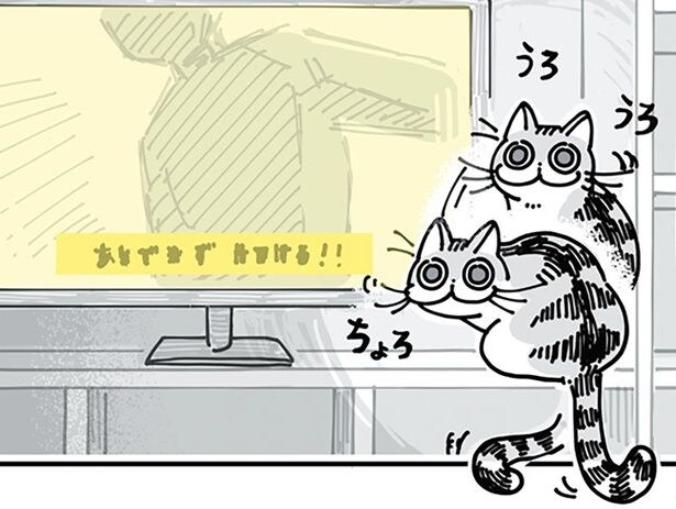 テレビの前でうろちょろ