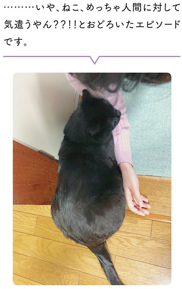 …いや、ねこ、めっちゃ人間に対して気遣うやん？？！！