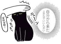 なでられるのを待たない！黒猫ろんの「セルフよしよし」