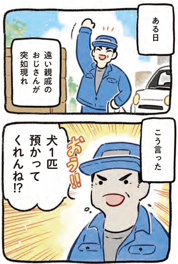 犬1匹預かってくれんね!?