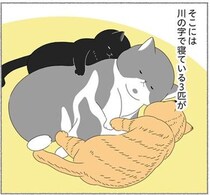 3匹目の保護猫がやってきた！体力的にも金銭的にも大変だけど、それ以上に…