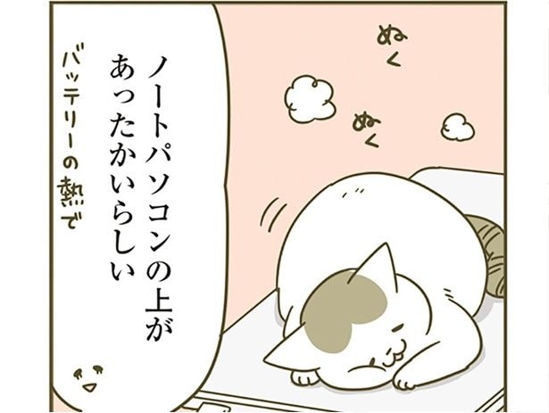ぬくぬく
