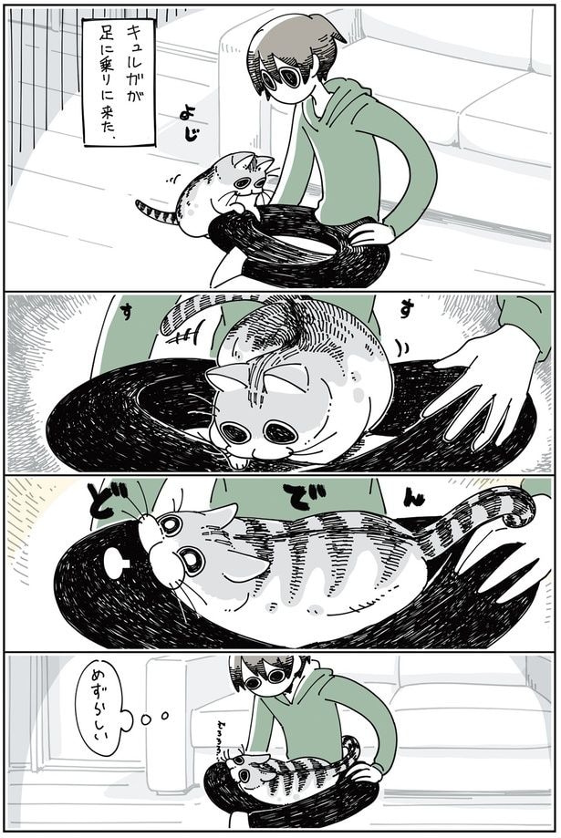 ネコが足に乗りに来た