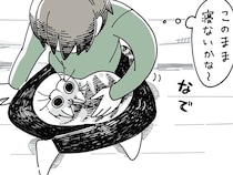 「このまま寝ないかなぁ」珍しく膝の上に猫が来てくれたときの悲劇