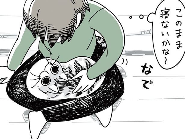 「このまま寝ないかなぁ」珍しく膝の上に猫が来てくれたときの悲劇