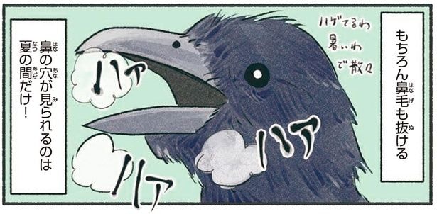 鼻の穴が見られるのは夏の間だけ！