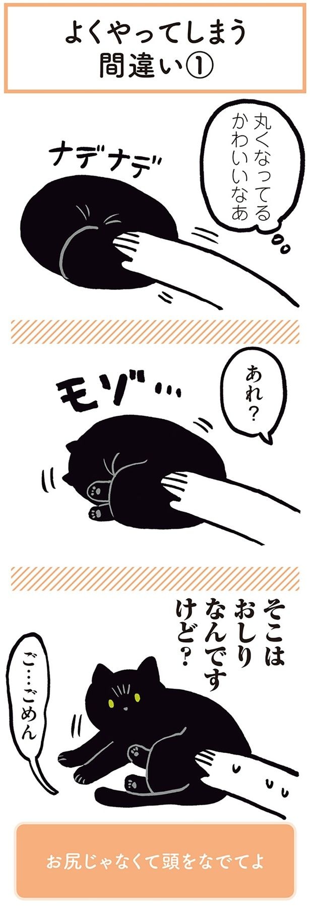 丸くなってる かわいいなあ