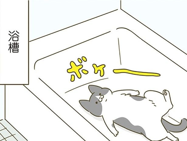 ボケ~~