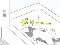 玄関の床、洗面台、浴室。とある季節、そこらじゅうに点在しているのは？