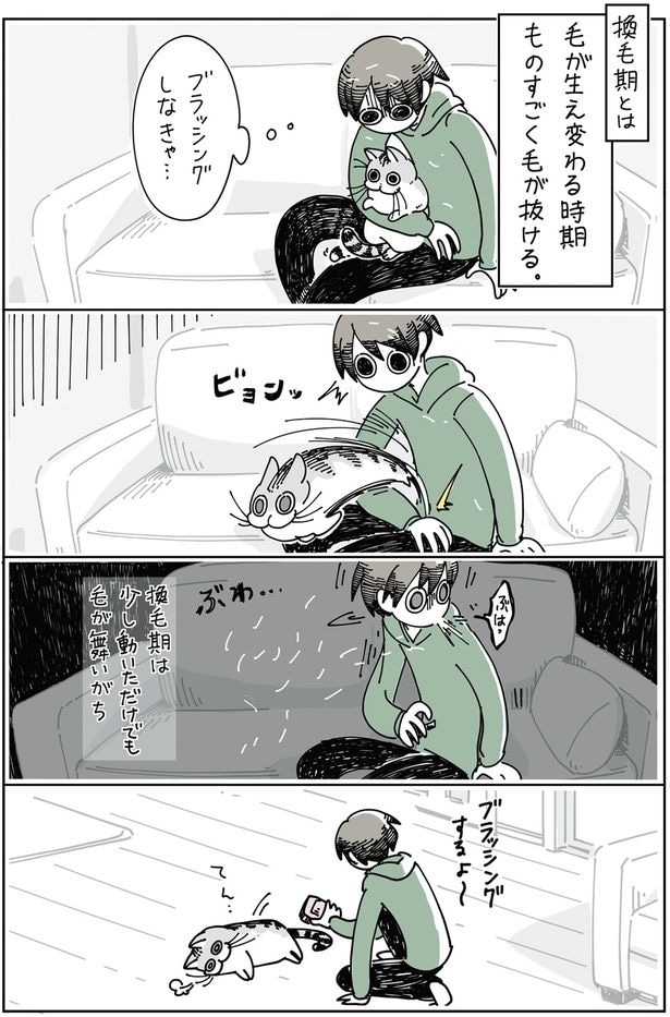 ブラッシングしなきゃ…