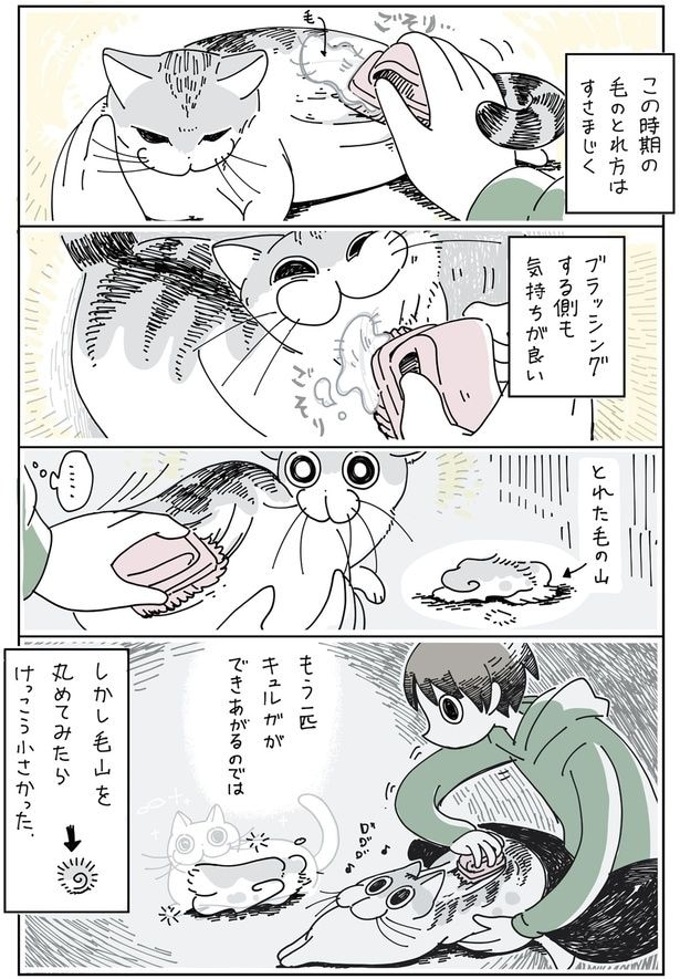 もう一匹できあがるのでは