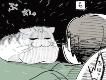 なでなで、からのブワッ！ 毛の抜け方がすさまじい換毛期のネコ