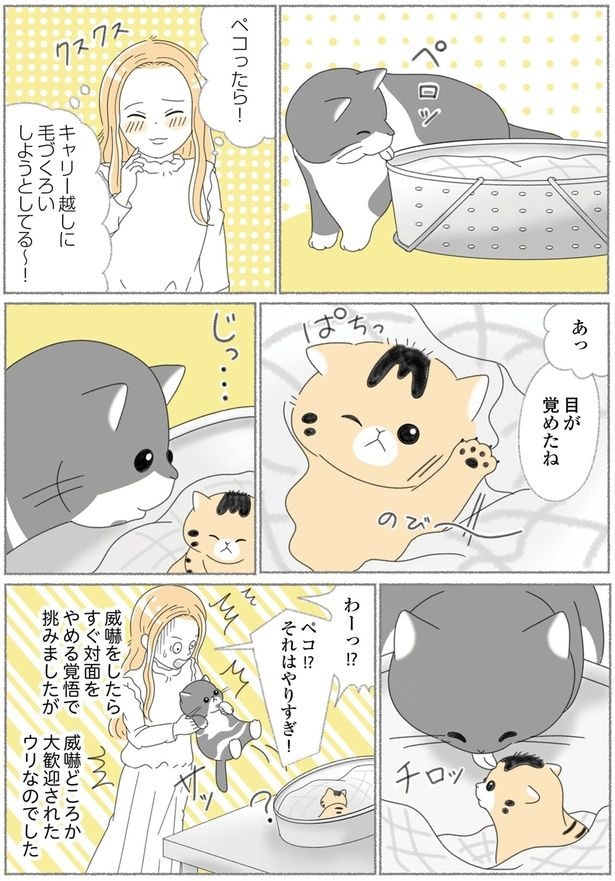 目が覚めたね