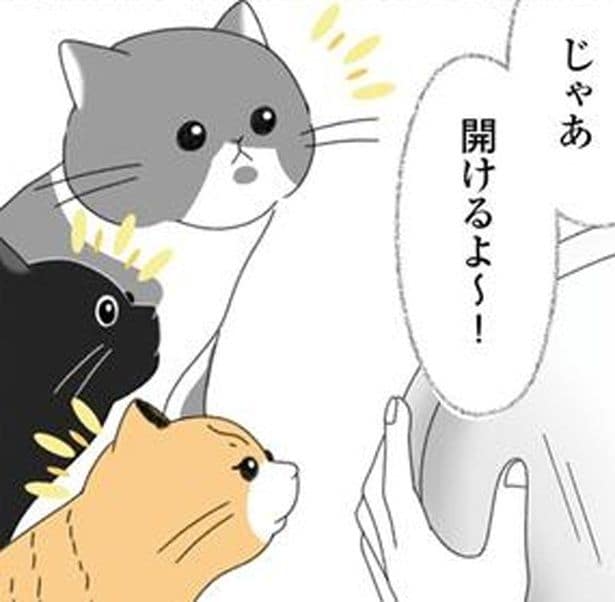 母親とはぐれた子猫が我が家へ。先住猫たちの反応にドキドキ!
