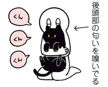 どうしてもやめられない！最後は怒られちゃう、黒猫ろんとのひとコマ