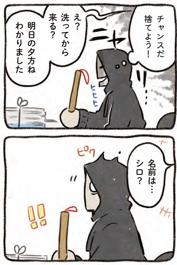 名前は…シロ？