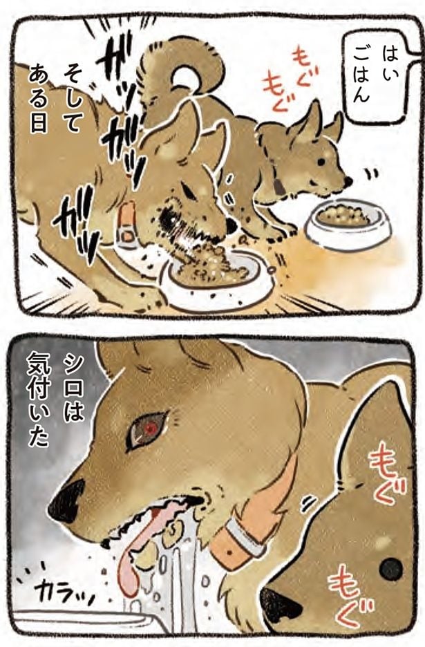 シロは気付いた
