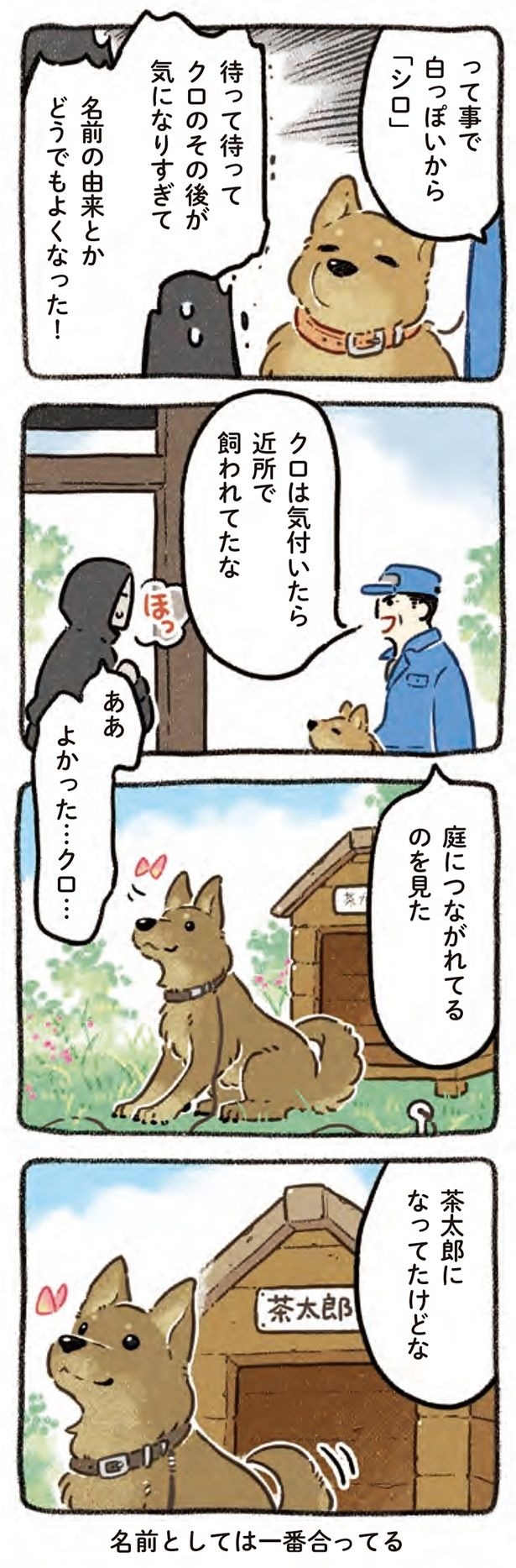名前としては一番合ってる