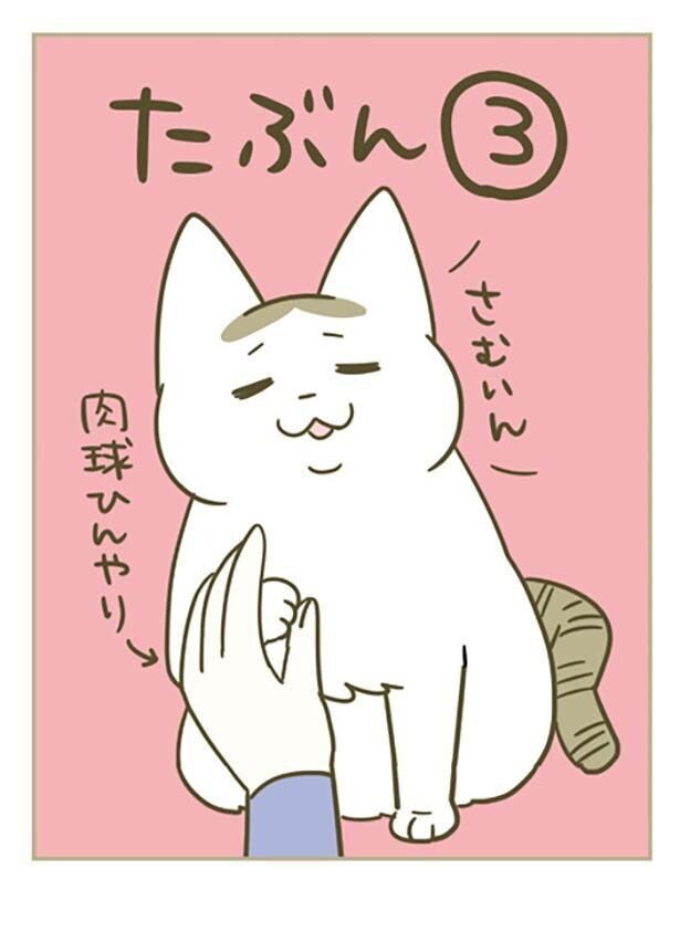 さむいん