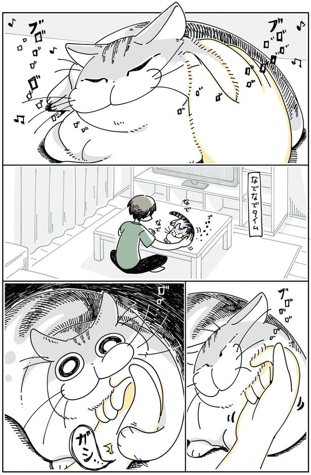 ネコが噛んできた