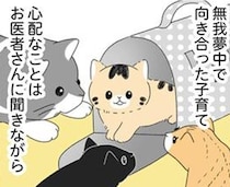 生後6カ月で訪れた試練。無我夢中で向き合った子猫の子育て