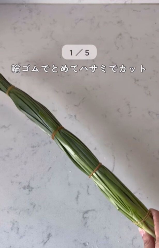 ニラを輪ゴムで等間隔にとめる（⇒次へ）