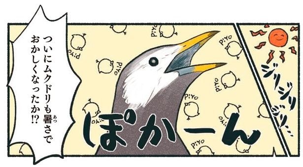 ムクドリが集団で口を開けてポカーン！大丈夫かと心配したら
