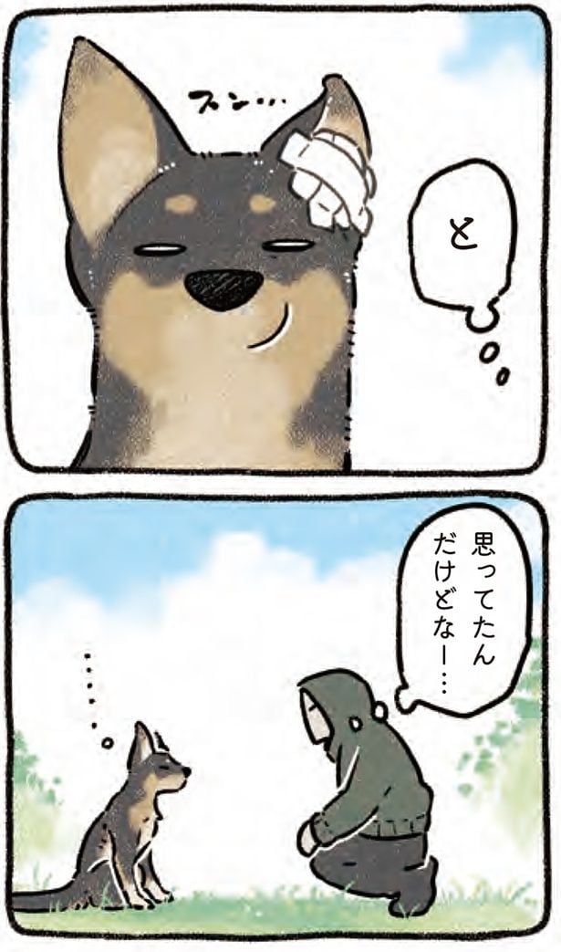 と、思ってたんだけどなー…