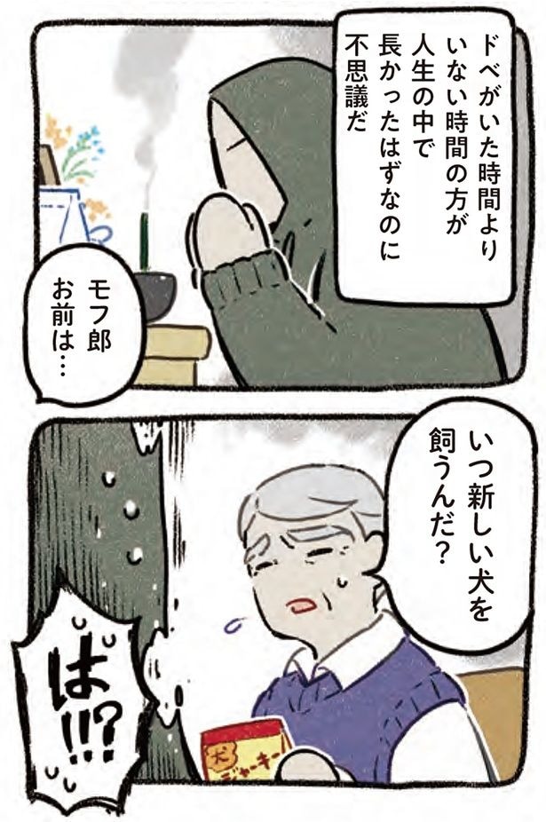 いつ新しい犬を飼うんだ?