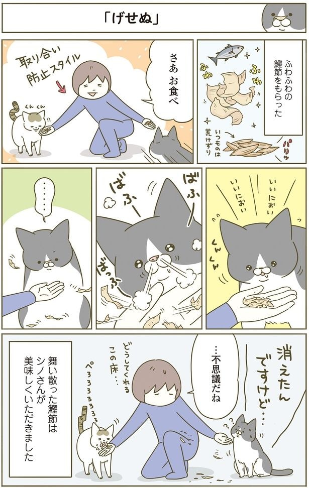 消えたんですけど…