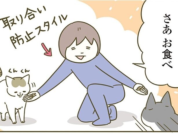 ふわふわの鰹節に大興奮! 「いいにおい、いいにおい」お目々キラキラ猫に迫る悲劇