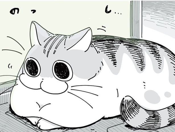 キーボードの上がお気に入りのネコ。どいてくれそうで中々どかない！