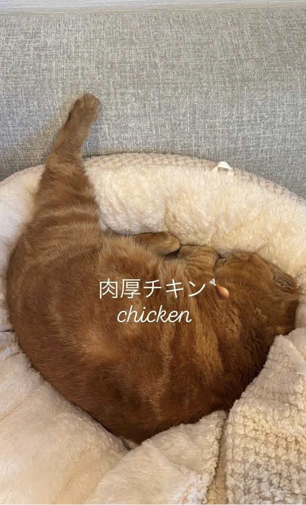 美味しそうな肉厚チキンみたい▶体以外も…（⇒次へ）