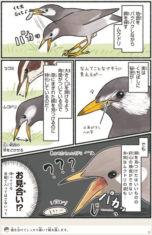 お見合い！？
