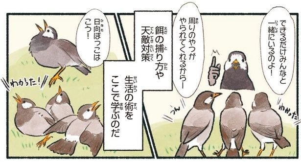 生活の術をここで学ぶのだ