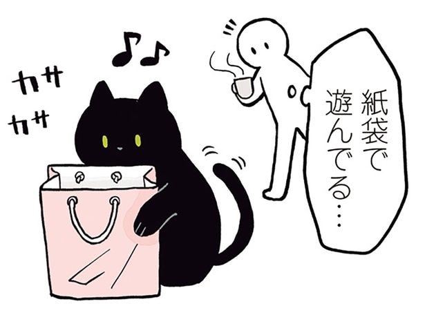 紙袋＝大喜び！…じゃない!? 黒猫ろんのリアクション