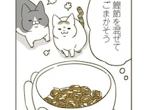 「違うの食べさせろー」試供品のフードが超不評！ 猫たちに食べてもらうための施策