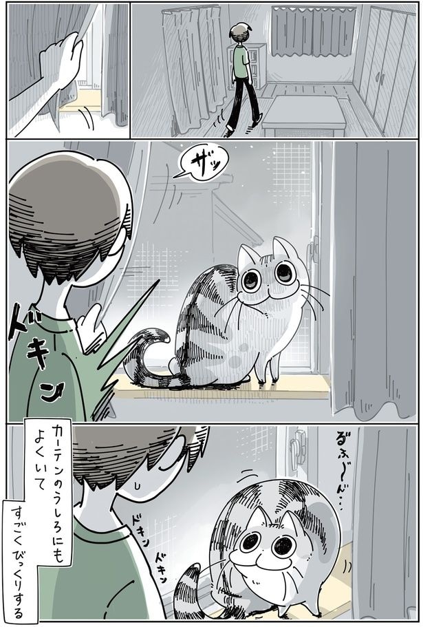 カーテンのうしろにもよくいて、すごくびっくりする