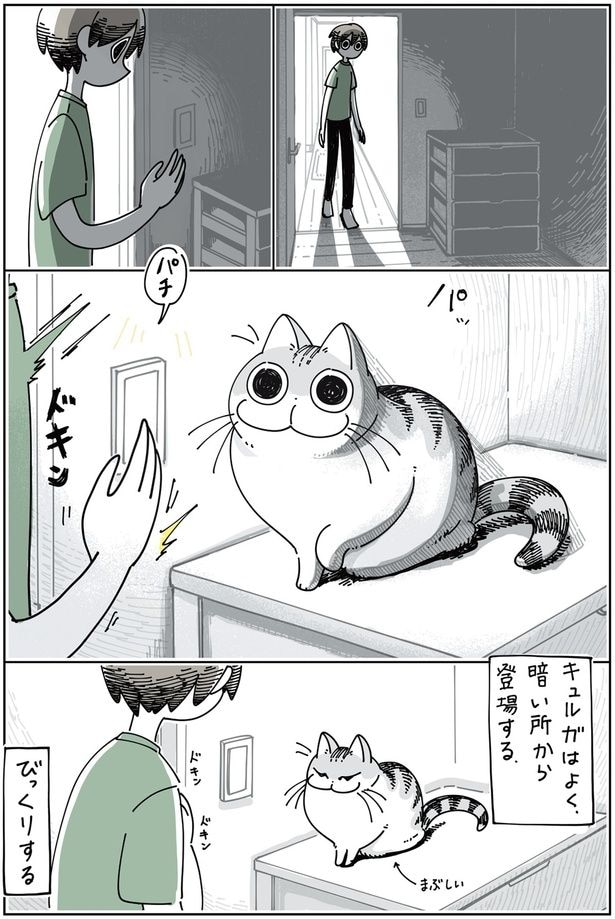 ネコにびっくりする