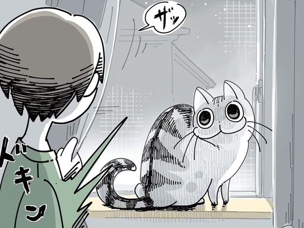 びっくりした！ 暗いところからよく現れる猫にびっくり＆ほっこり