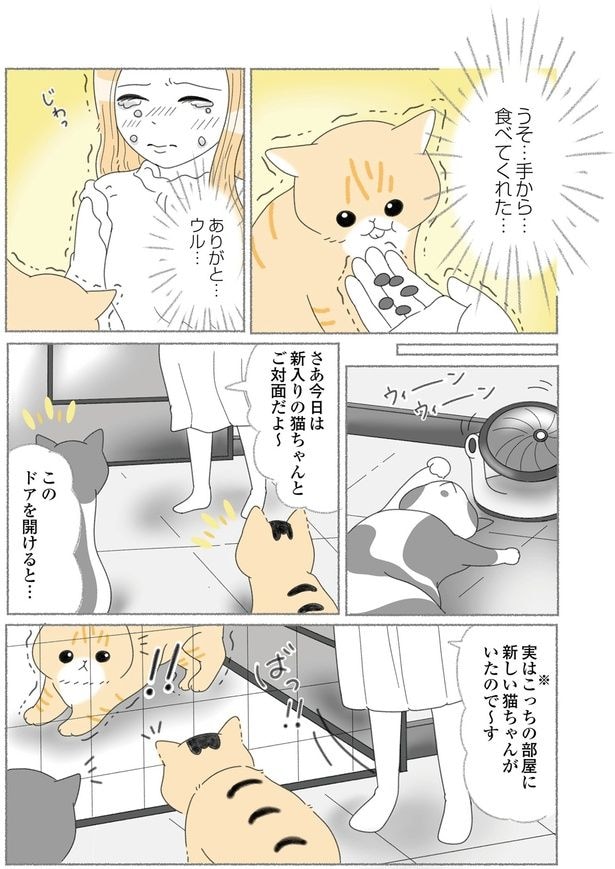 ご対面だよ～