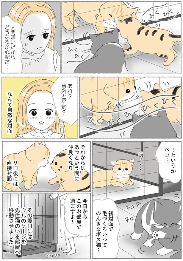 意外と平気？