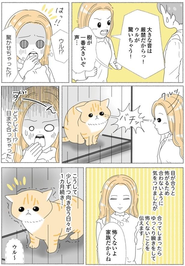 驚かせちゃった！？
