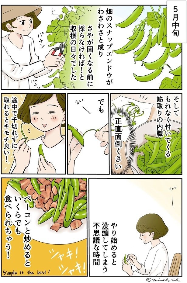 ベーコンで炒めるといくらでも食べられちゃう！